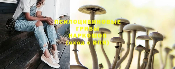 метамфетамин Каменногорск
