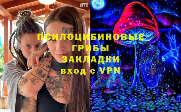 apvp Каменка