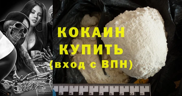 apvp Каменка
