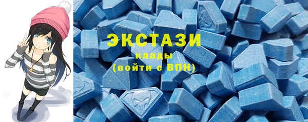 apvp Каменка
