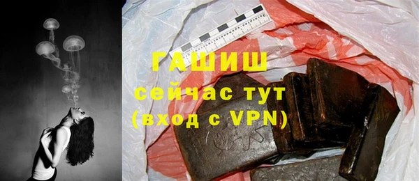 apvp Каменка