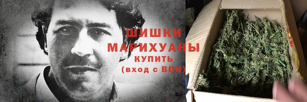 apvp Каменка