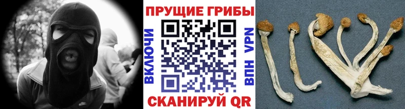 Купить  Котово  Галлюциногенные грибы ЛСД 