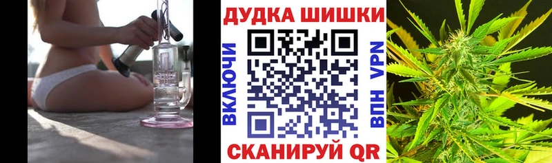 Купить закладки  Котово  Бошки марихуана White Widow 